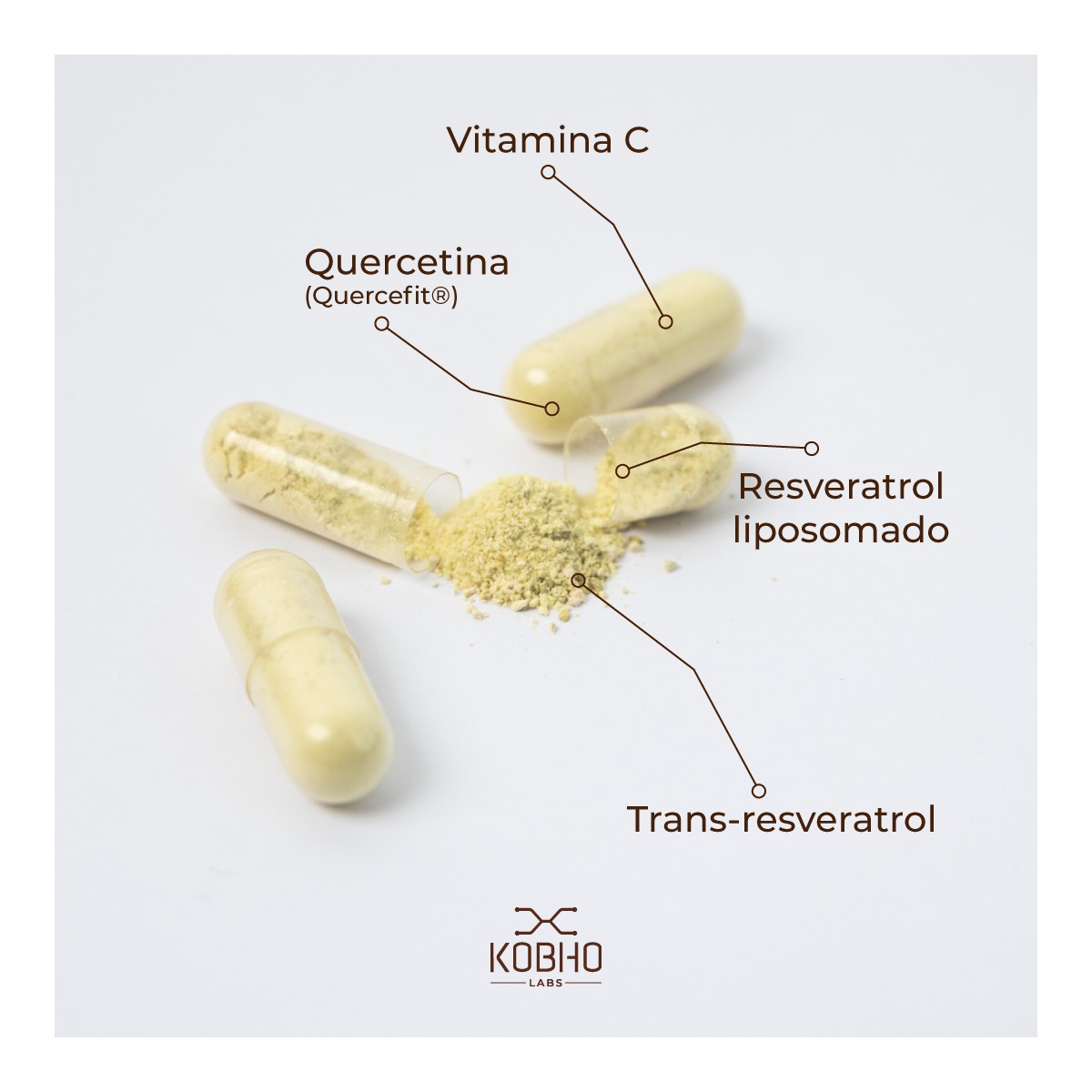TRANS RESVERATROL + QUERCETINA KOBHO