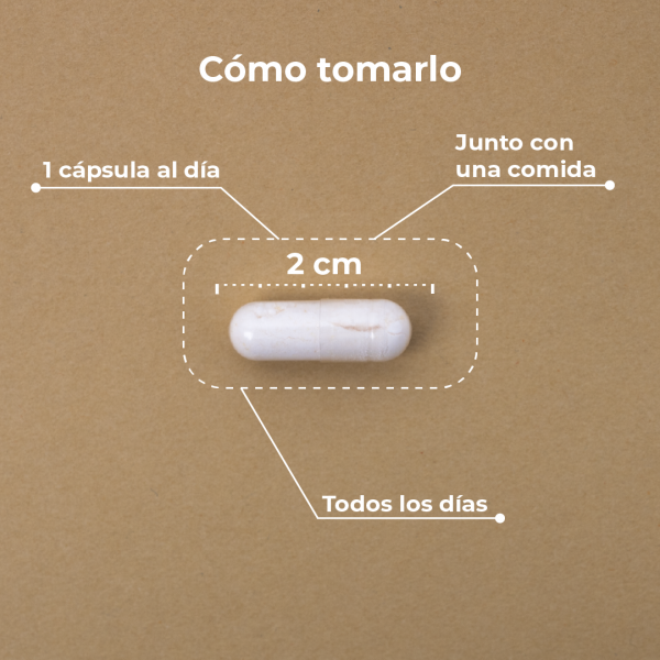 Vitamina C + Reishi KOBHO 2
