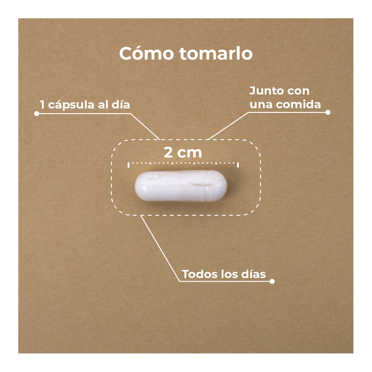 Vitamina C + Reishi KOBHO