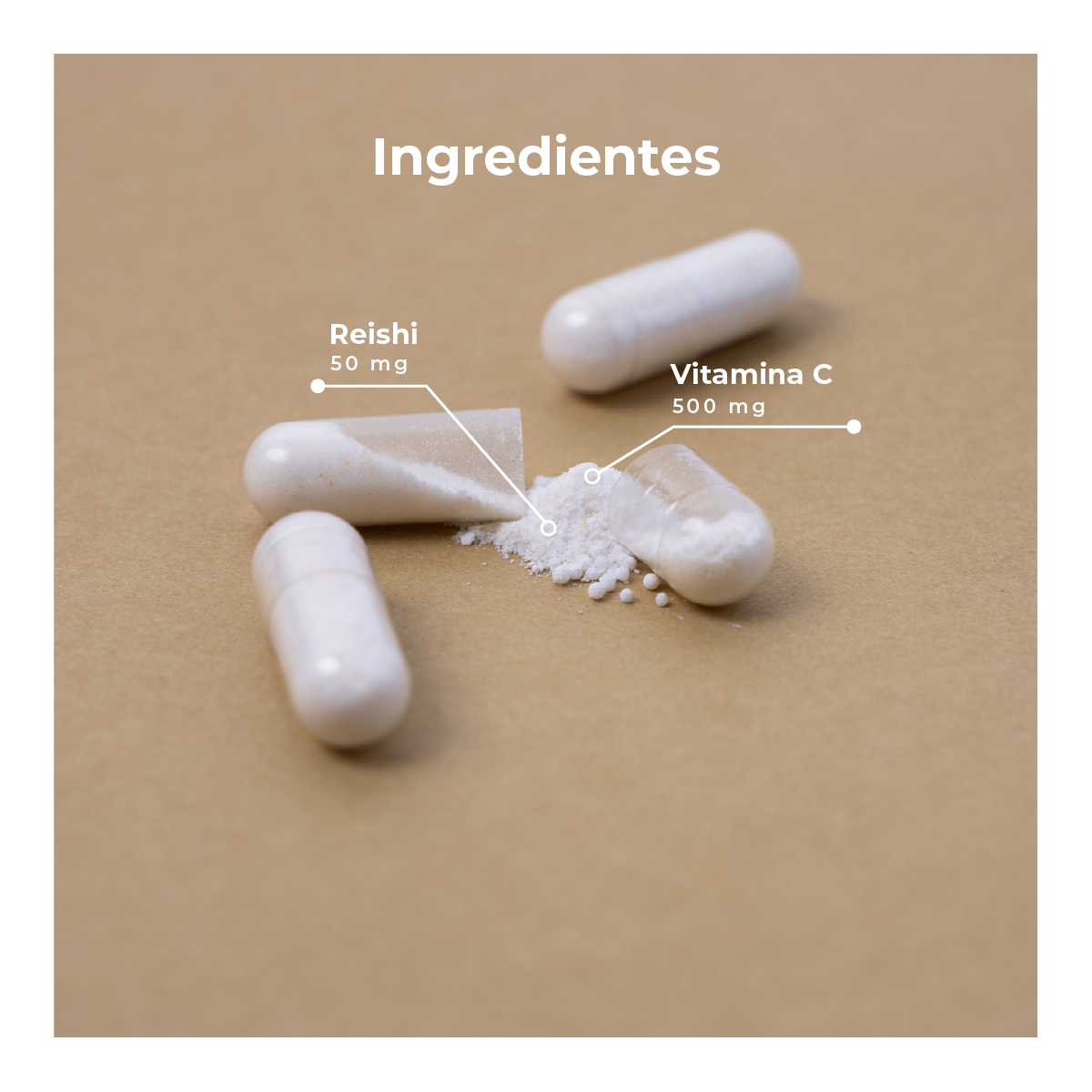 Vitamina C + Reishi KOBHO